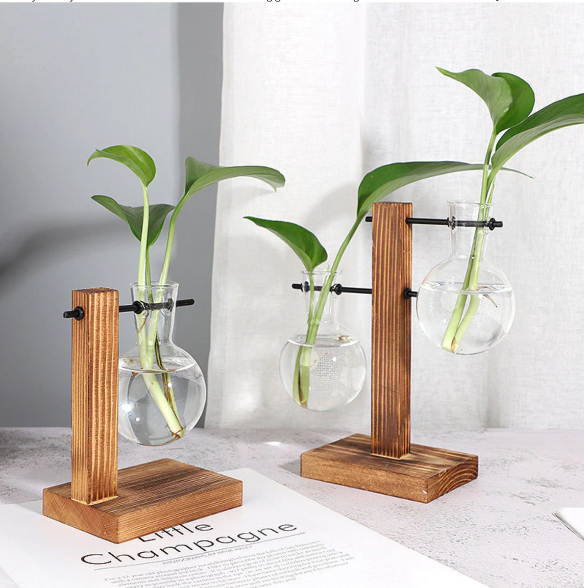 hydroponic plant holder Terrarium Hydroponic Plant Vase – Essentials of Essex