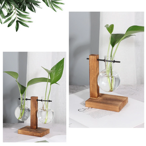 Terrarium Hydroponic Plant Vase