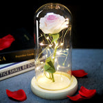 Load image into Gallery viewer, LED Eternal Rose Glass Display
