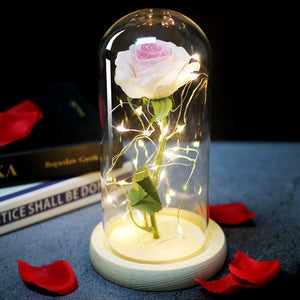 LED Eternal Rose Glass Display