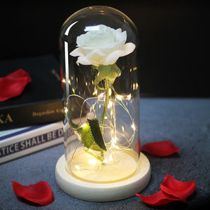 LED Eternal Rose Glass Display