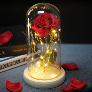 LED Eternal Rose Glass Display