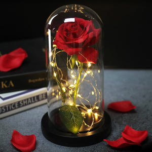 LED Eternal Rose Glass Display