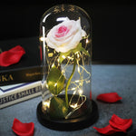 Load image into Gallery viewer, LED Eternal Rose Glass Display
