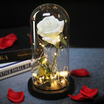 Load image into Gallery viewer, LED Eternal Rose Glass Display
