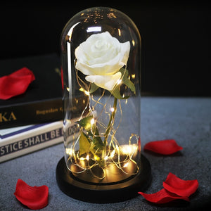 LED Eternal Rose Glass Display