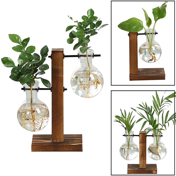 Terrarium Hydroponic Plant Vase – Essentials of Essex