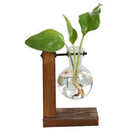 Load image into Gallery viewer, Terrarium Hydroponic Plant Vase
