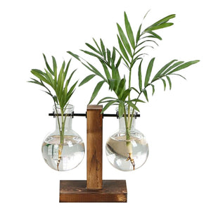 Terrarium Hydroponic Plant Vase