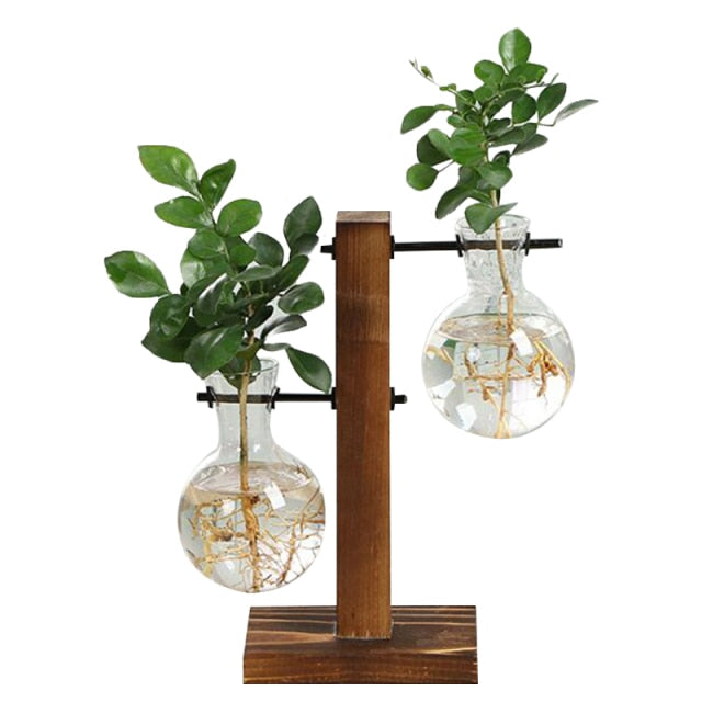 Terrarium Hydroponic Plant Vase
