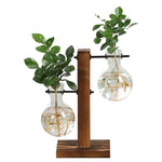 Load image into Gallery viewer, Terrarium Hydroponic Plant Vase
